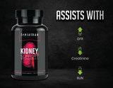 Leviathan Nutrition Kidney Support V2