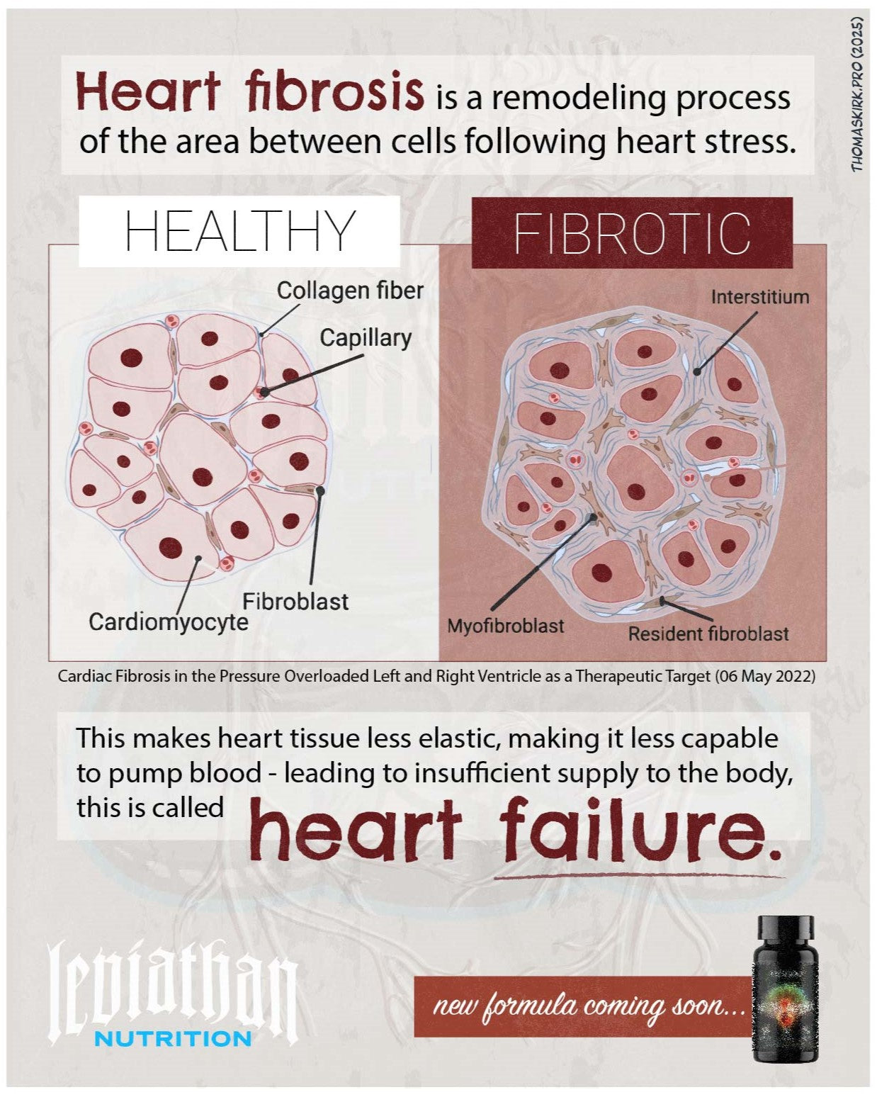 Leviathan Vital Heart