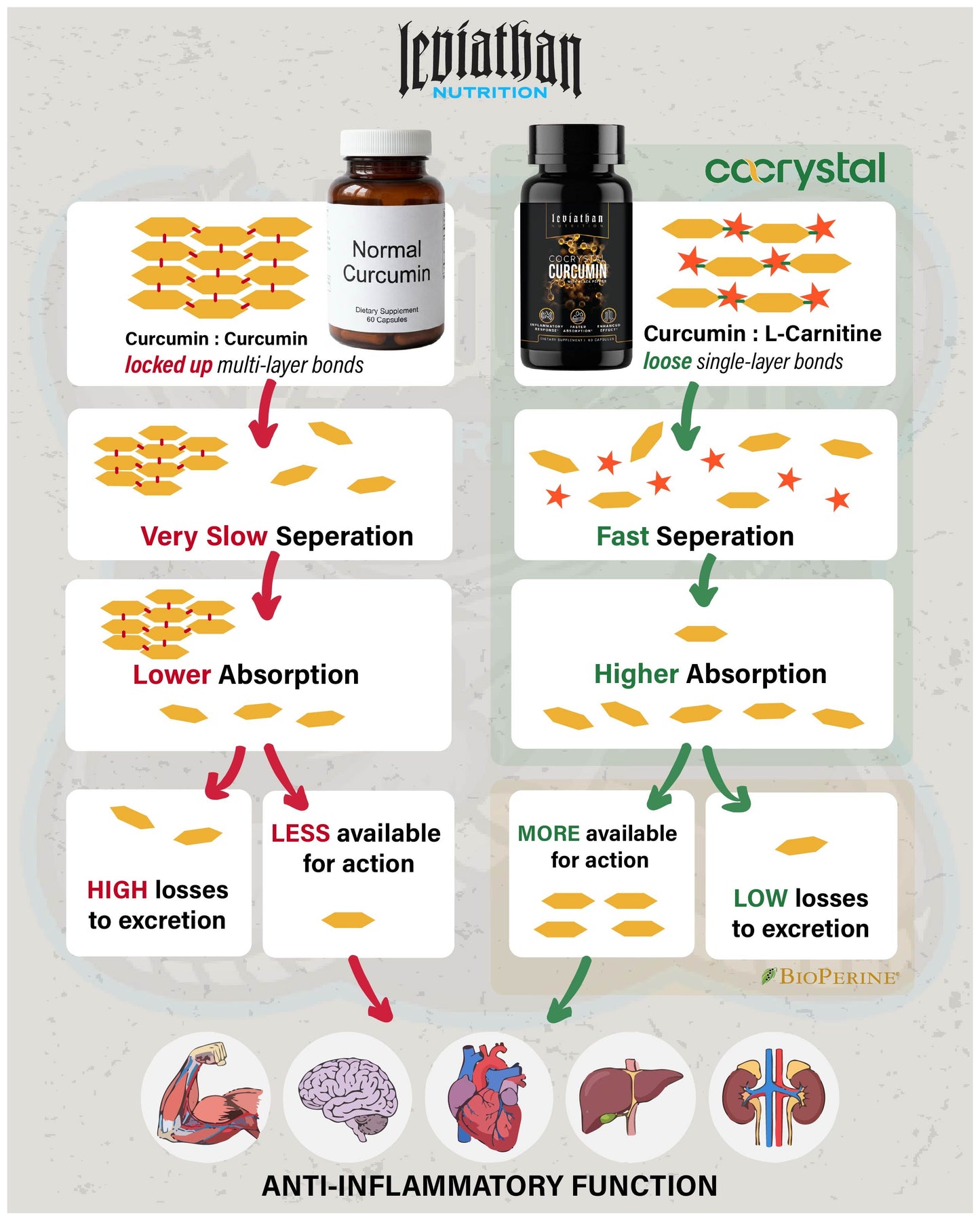 Leviathan Co Crystal Curcumin