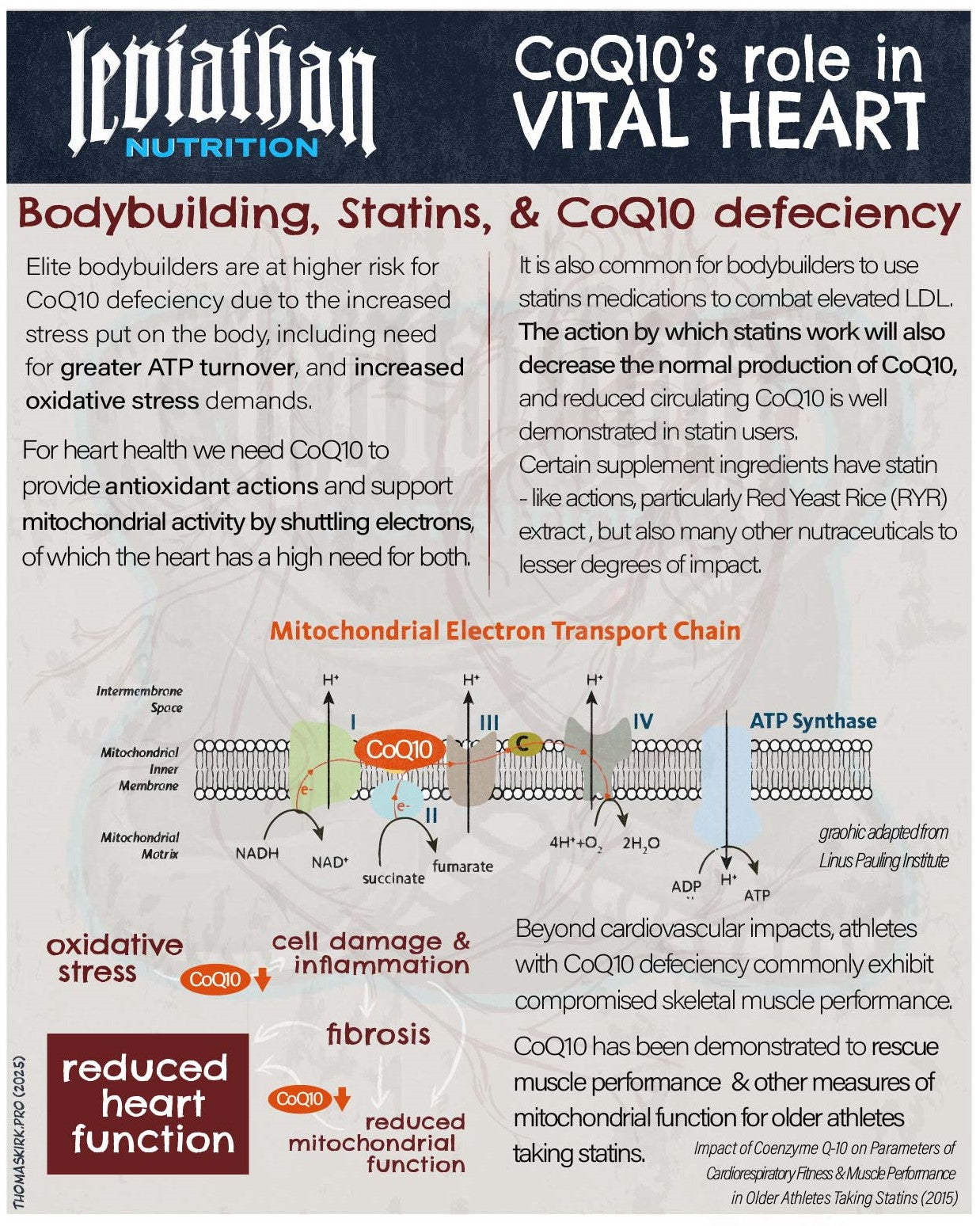 Leviathan Vital Heart