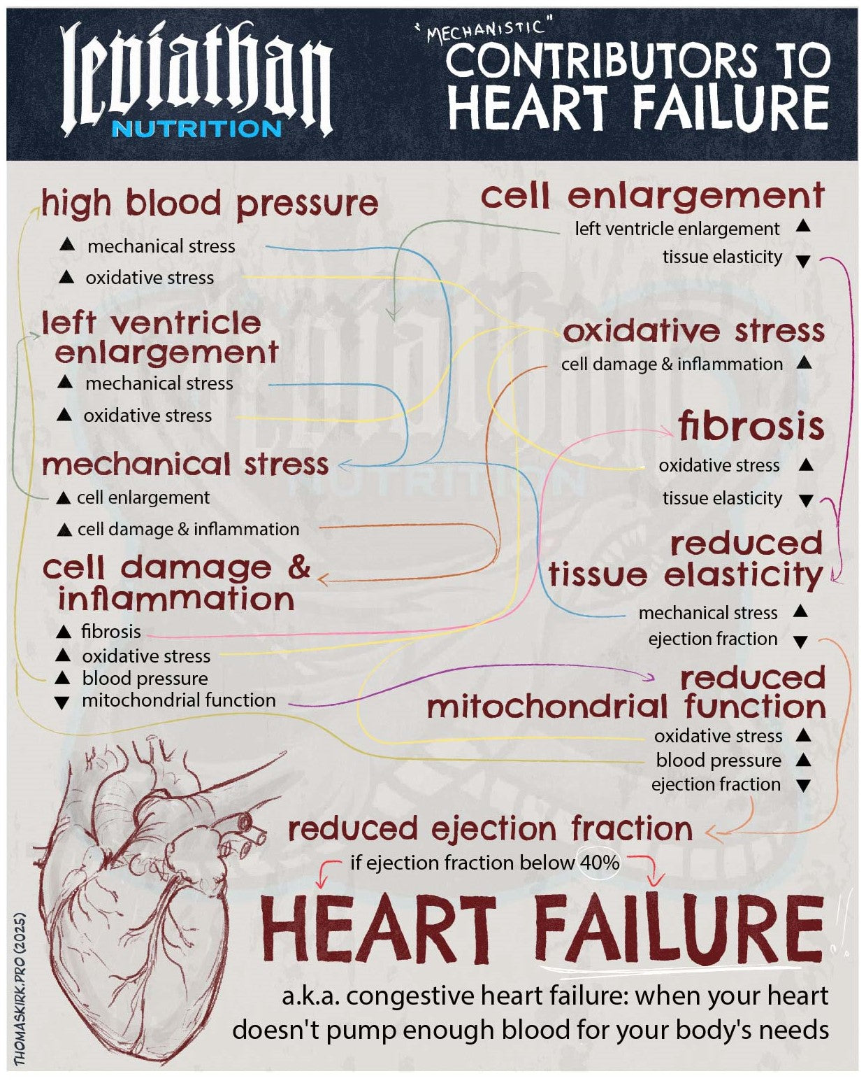 Leviathan Vital Heart