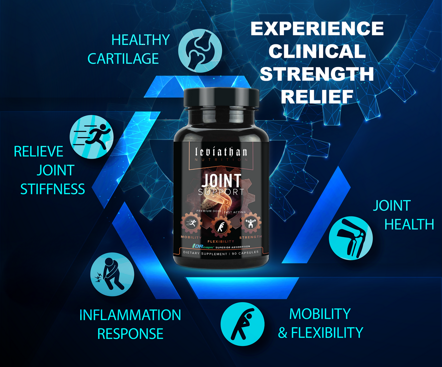 Leviathan Nutrition Joint Support