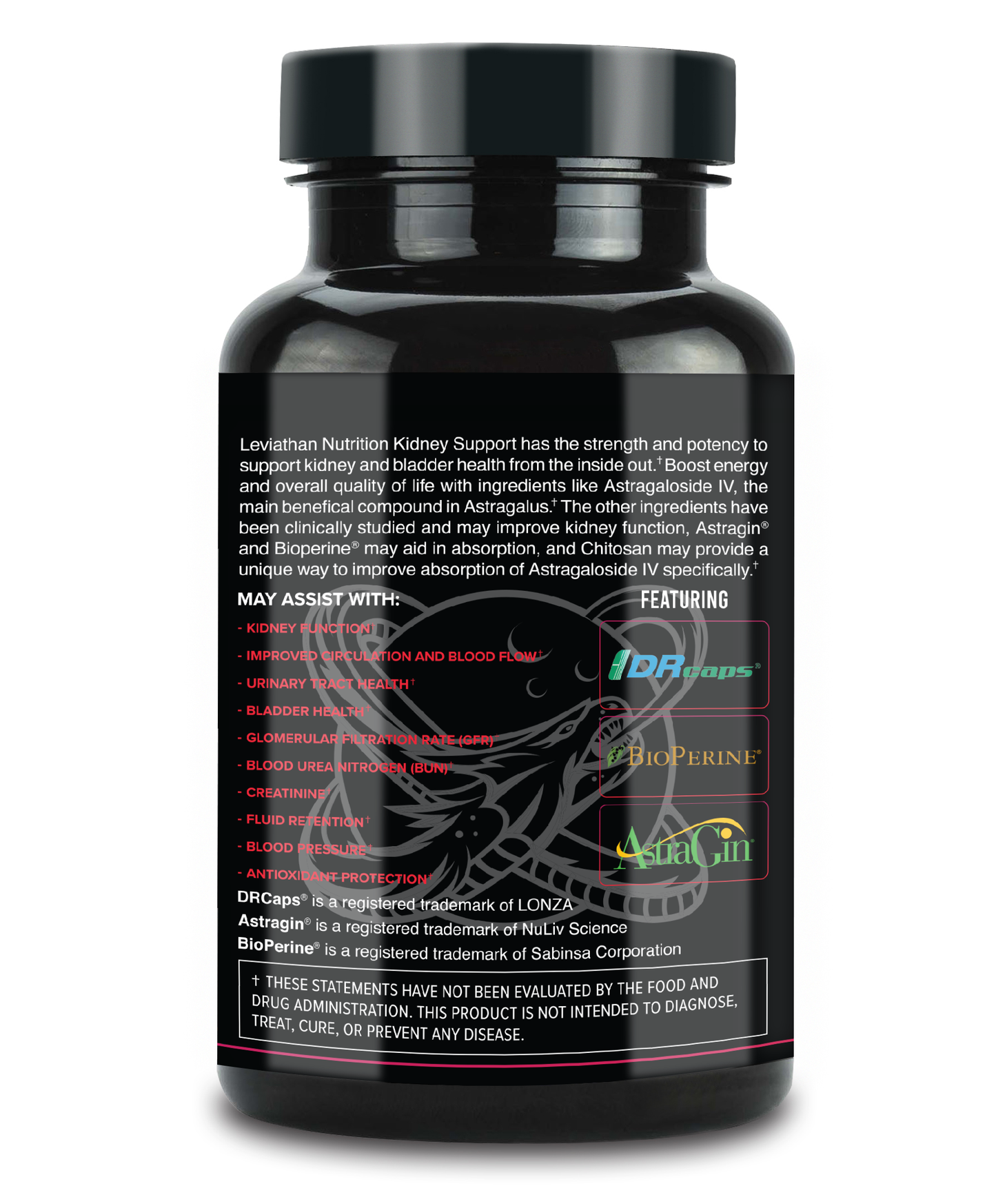 Leviathan Nutrition Kidney Support V2