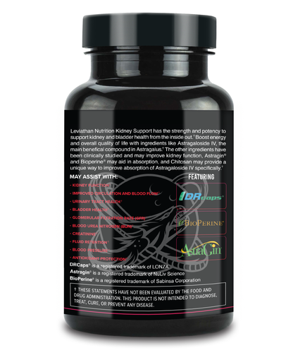 Leviathan Nutrition Kidney Support V2