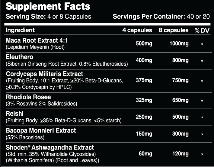 Leviathan VIZURE Stress Support